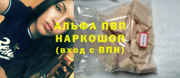 стафф Алзамай