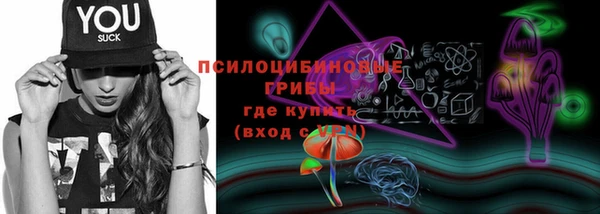 дурь Алексеевка